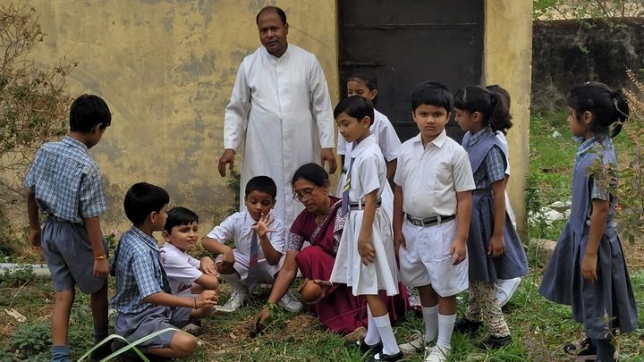 Students planting saplings